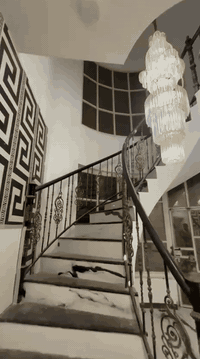 يا مغنّي…
🏡 بيت راقٍ للبيع – زراعي سند ٢٥/ جاهز للسكن
📍 الديوانية – قضاء الدغاره
📐 ١٠٥٠

🏗️ بناء حديث وتشطيب درجة أولى

🎯 موقع مميز وقريب جداً من الخدمات
✔️ فرصة جاهزة للسكن فوراً

📞 للجادين: ***********
