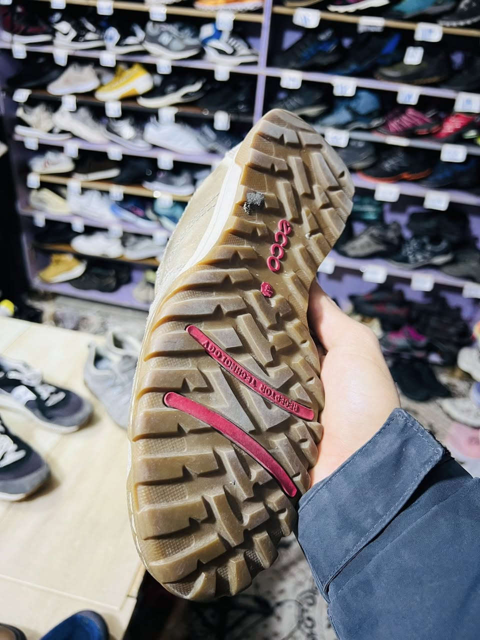 Ecco


**إذا كنت صاحب هذا الإعلان وتريد حذفه لأي سبب، رجاءا أرسل رسالة إلى الدعم الفني**