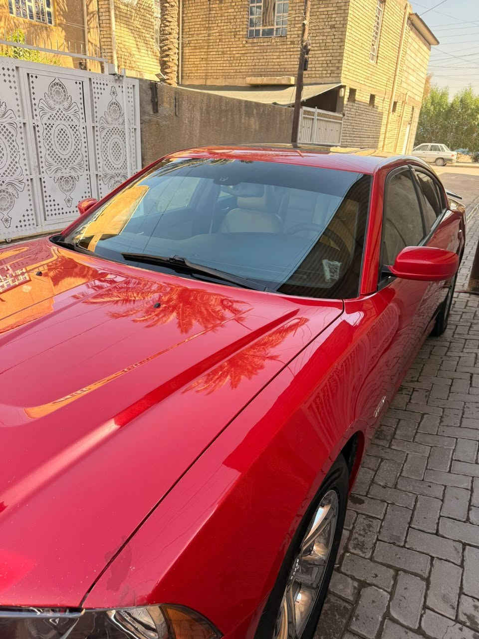 جارجر موديل 2011

هيمي 
محرك ٨ سلندر 
محرك حاويه جديد
السياره حادثها خلفي
صدر جديد
تخم تاير
غرفه جديده
صدر امامي وخلفي جديد 

 سعر 125 💲

مكاني بغداد المشتل 

***********
