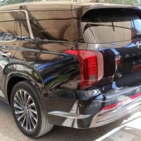 باليسايد كلگرافي • ٢٠٢٣ • جاملخ خلفي