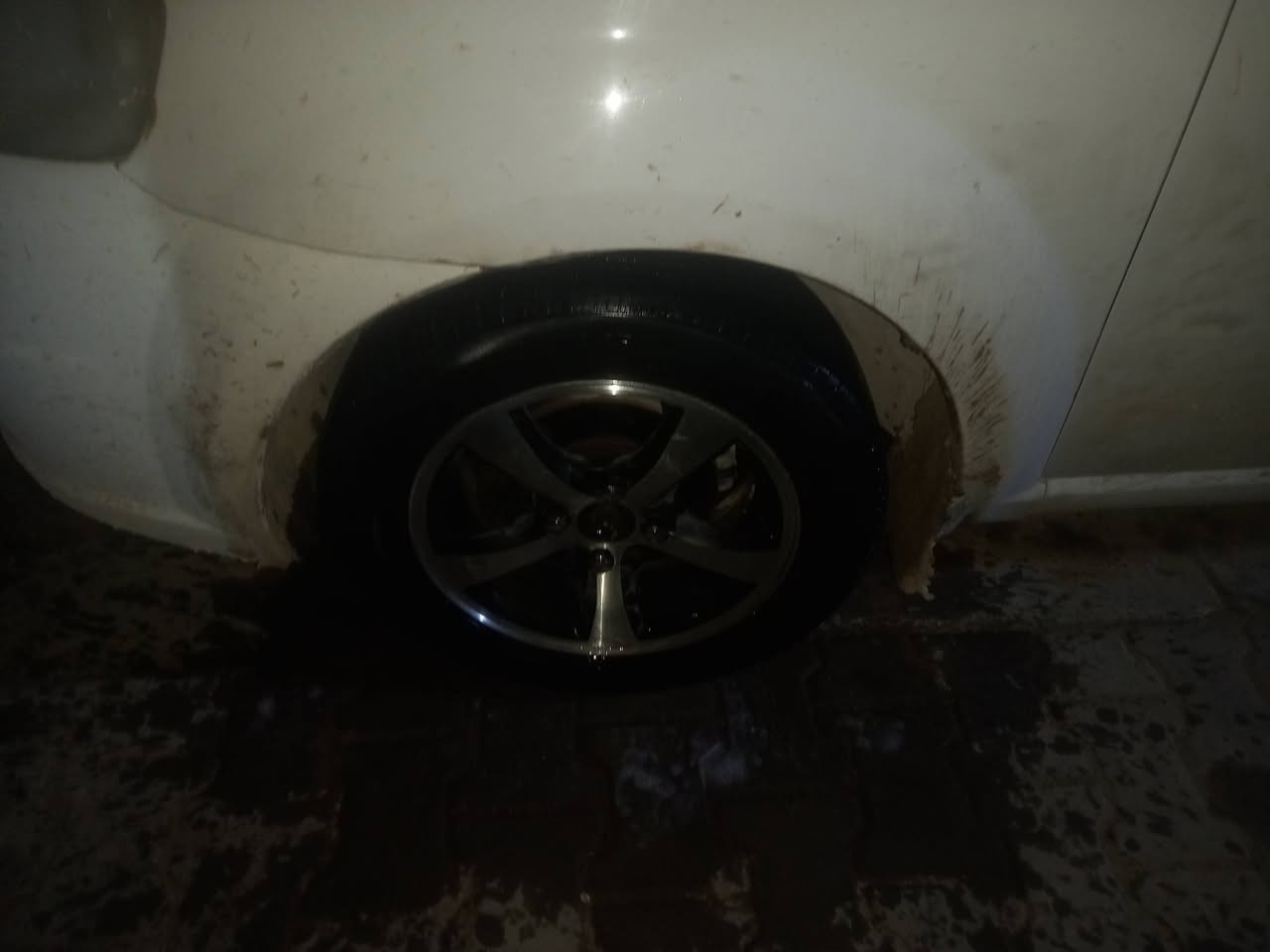 عندي تخم ويل كب اريد مراوس بويل عادي الحجم 14
***********
