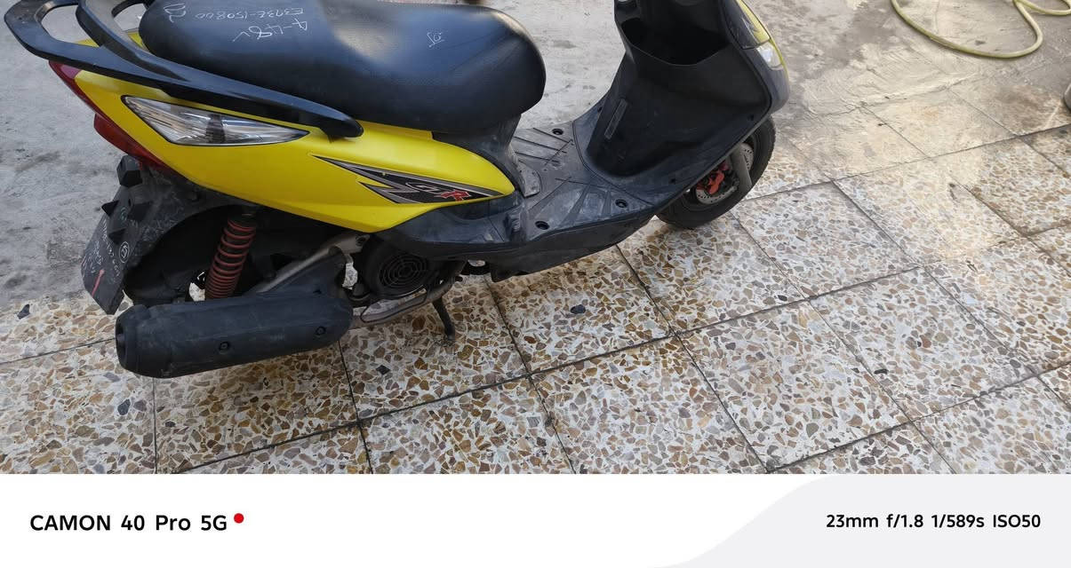 ماكس ثعلب مكاني شعب سعر ٧٥٠مكفولة***********
