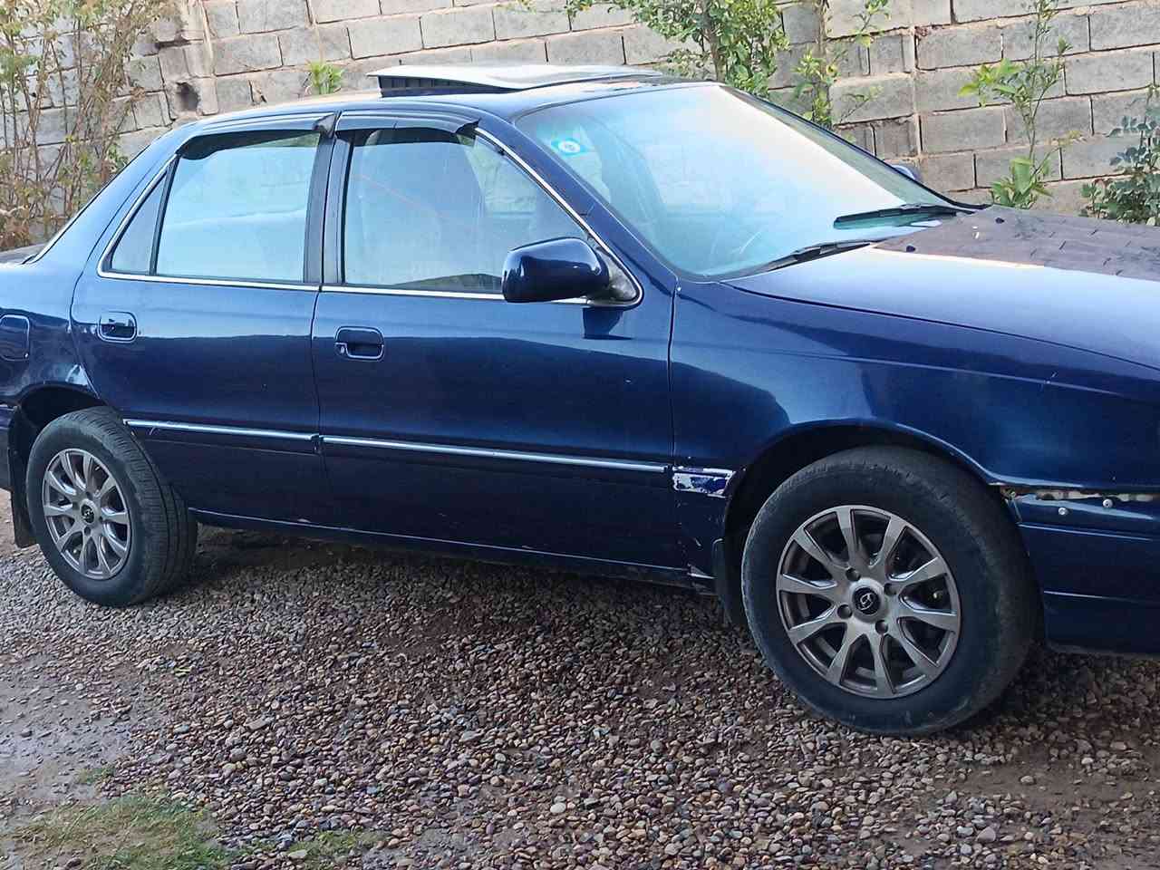 مراوس بوميكا


**إذا كنت صاحب هذا الإعلان وتريد حذفه لأي سبب، رجاءا أرسل رسالة إلى الدعم الفني**