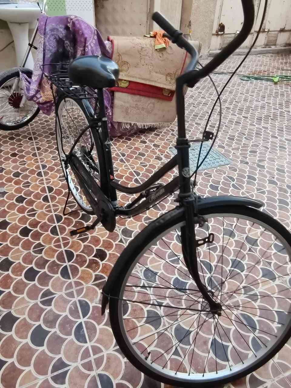 السلام عليكم باسكل للبيع غراضه كامله كلهه من گلوب من ستان مال سله من سله كلهن موجودات باسكل جاهز ماناقص أي شي  توني مبدله صچم وبيم وياله بلادي ويا اسبايدر طياريه مكاني الشطره حاوي النهضة قرب مدرسة الطيبات أو سيد رحمه للاستفسار واتساب *********** أو خاص
