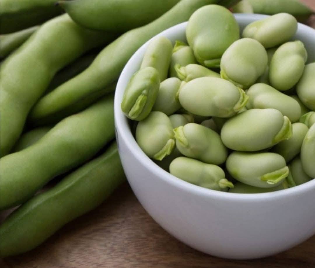 حبايب موجودحجز على باجله خضره الكيلو الفين ونص الي يريديحجز يجي خاص يثبت رقم وعنوان


**إذا كنت صاحب هذا الإعلان وتريد حذفه لأي سبب، رجاءا أرسل رسالة إلى الدعم الفني**