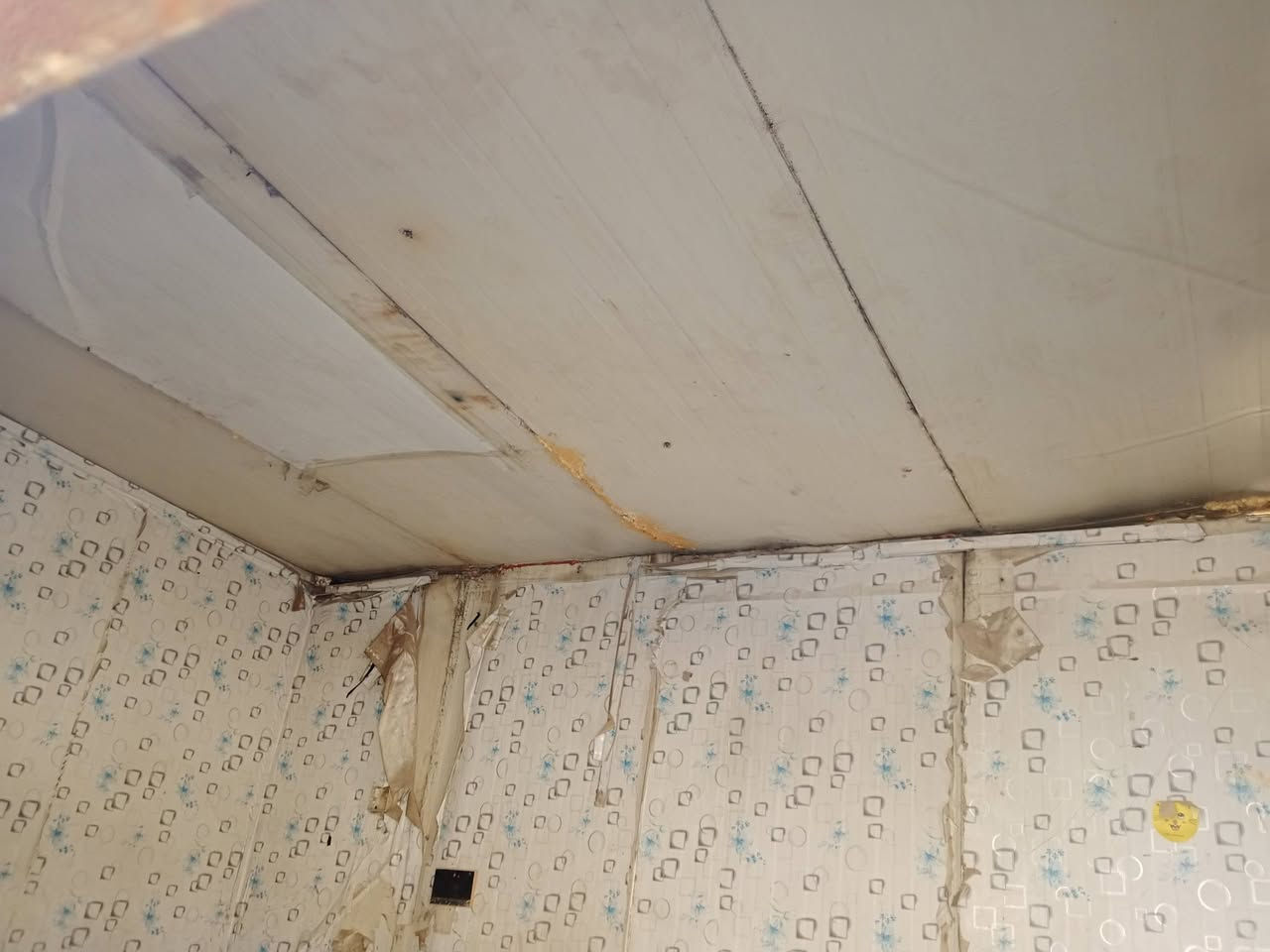 السلام عليكم كرفون للبيع الطول اربعه زائد العرض ثلاثه تفاصيل اكثر عن رقم المكان بغداد***********
