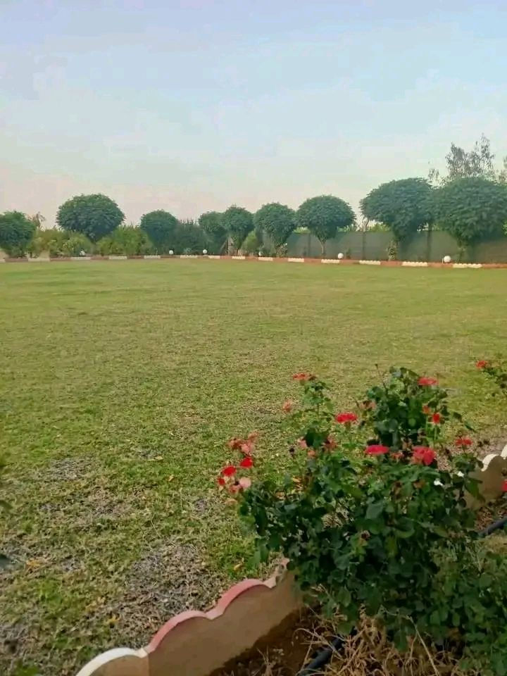 مزرعه للبيع مساحه ٣٣٠٠م زراعي في كركوك طريق اربيل قريه حصار مسافه من شارع بيها بيت ومسبح والاشجار مثمره متنوعه وحديقة حلوه وبئر ماء وكهرباء سعره ٧٠ مليون للمزيد من المعلومات اتصال على رقم مبايل ***********
