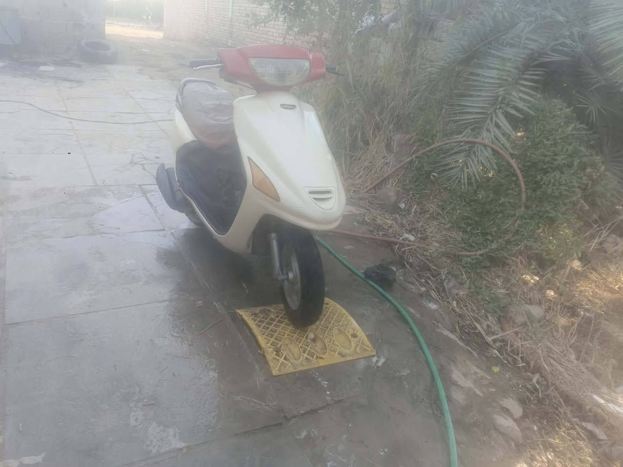 سلام عليكم دراجه فراشه لل بيع او مراوس اب اربع اكير كلك مكاني دوانيه طريق سنيه سياحي لل استفسار التصال عل رقم او خاص ***********
