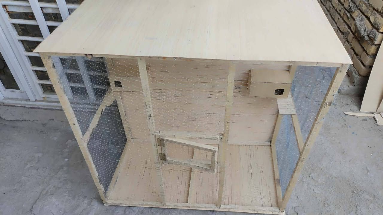 قفص واجهيه متر و أرتفاع متر ونزال 50سم نص متر سعر 40بي مجال بسيط مكاني نجف حي النصر


**إذا كنت صاحب هذا الإعلان وتريد حذفه لأي سبب، رجاءا أرسل رسالة إلى الدعم الفني**