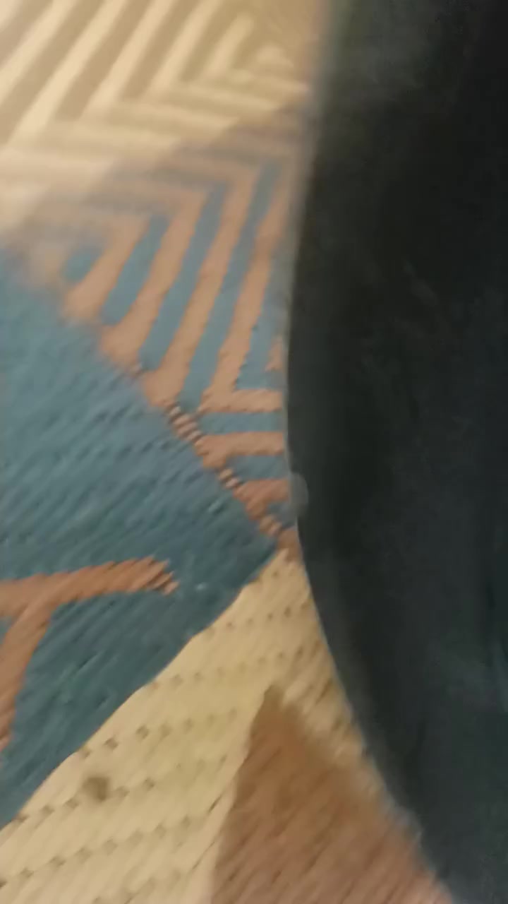 سلام عليكم دراجه شحن حجم 14 دراجه جديده ونظيفه جدا كلشي بهة شغال هورن شغال كهرباء  كلهة شغاله باقي هواي مواصفات بل خاص السعر 330 وبيعة مجال مكاني بغداد


**إذا كنت صاحب هذا الإعلان وتريد حذفه لأي سبب، رجاءا أرسل رسالة إلى الدعم الفني**