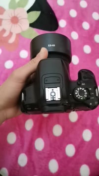 كانون 700D • لينس 50STM • كارت ٣٢G