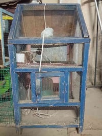قفص • مكانة الحرية • قرب بابا عن
