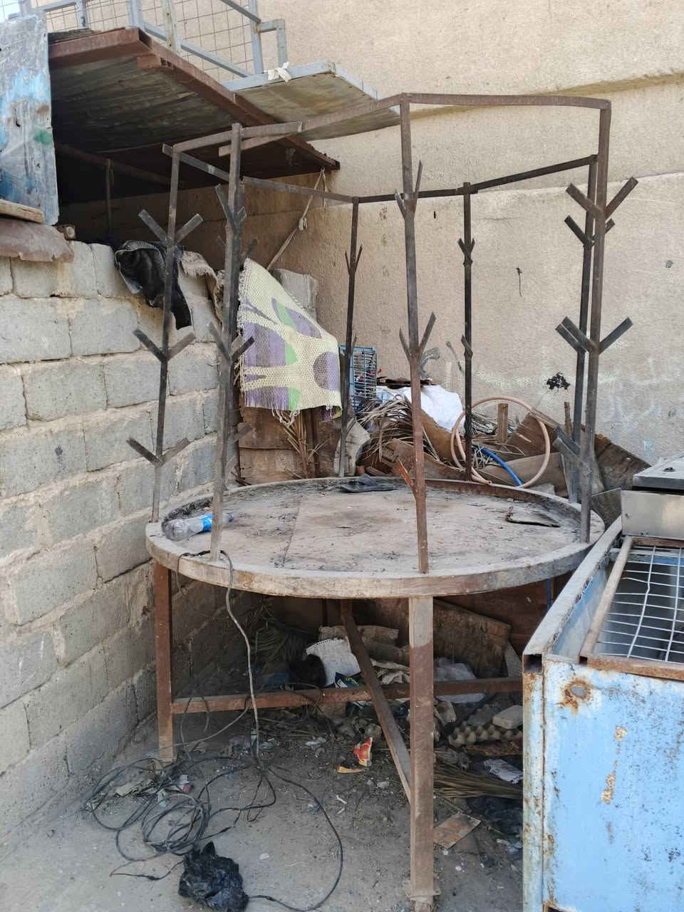 شوايه دجاج 350 شوايه سمك 150 حوض سمك 150 وبيهن مجال ***********
