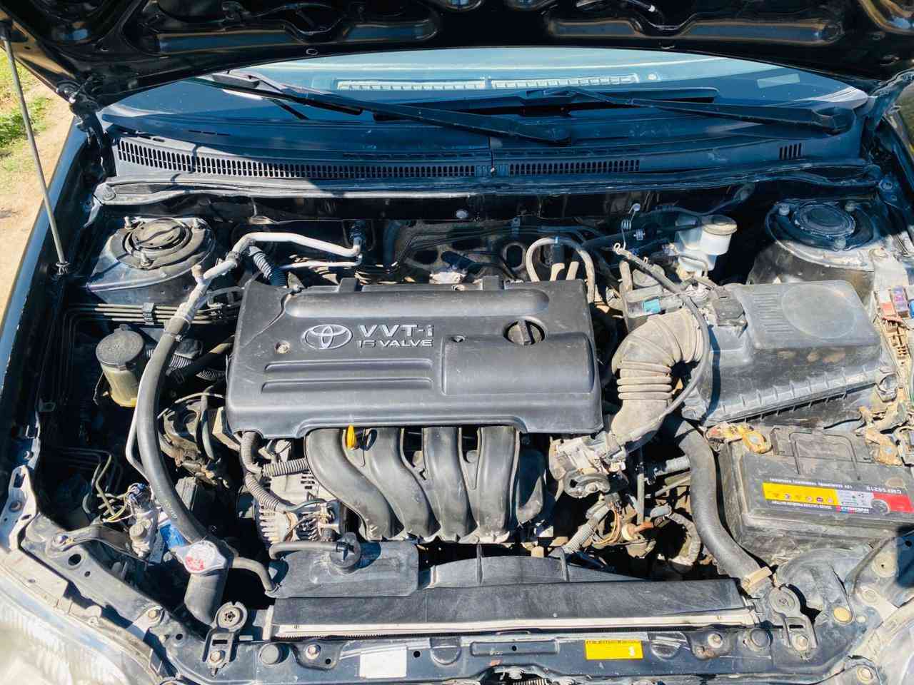 السلام عليكم البيع كورلا بيكاتشو 2008لون اسود مصبوغه عام جماليه شرط بدون دواخل رقم صلاح الدين
كير محرك كير تبريد شرط حدايه كله جديد سيارة حلوة مال بيت سعره 85وبيه مجال حك الجيه مكان سيارة صلاح الدين بلد
***********
