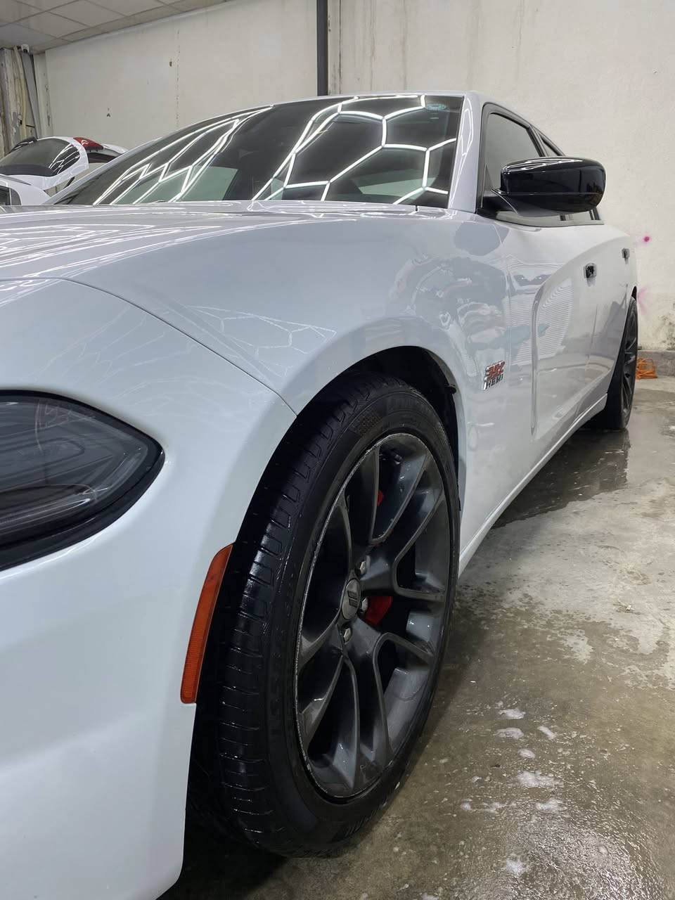 جارجر  اربيل موديل 2017ارتي ماكس هيمي 5700 كلين تايتل كندي ماشية 66 الف مايل كفالة عامة رقم جديد سنوية جديدة لحد 2029 شهر 5
مواصفات 
فتحة سقف 
شاشة كامرة خلفية حساسات خلفية كشنات جلد تدفائة تبريد وخزن كشنات رادارات بالمري والمريدقلابة عند البك ويل ٢٠مال سكات باك اصلي 
السيارة علية تزويد هدرز امريكي اصلي وكزوز srt 
اصلي من الطول للطول ودبات سود موبار وعليها اكسل قفل srt وفتح عقل وبرمجة مصطفى يكل شرط الحماوة 85 سيليزي شتة صيف ومراوح دبل مروحة خليجي وعدسات لايت 
السعر ٢٤٠ وبيها مجال 
مكاني البصرة الجمعيات
رقمي ***********
