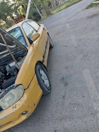 سيفيـة • ٢٠٠١ • نجف الكوفة