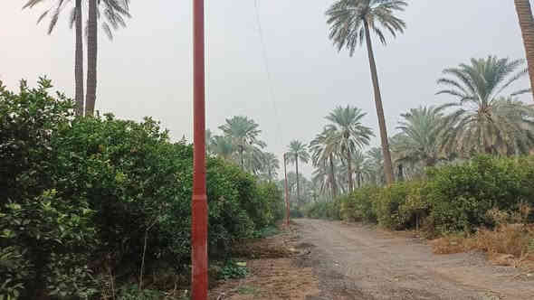 يا الله سلام عليكم 1600 متر البيع طابو سند 25
العنوان بغداد المدائن سلمان باك 
تحويل مباشر بسمك الوجهة 23  نزال 69
تبعد عن سده والشط 150متر شارع كله مزارع
الاستفسار اتصال برقم *********** ***********
