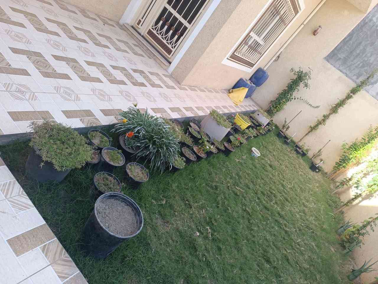 للبيع دار  حي الصحه  . 200م بناء حديث وطابق واحد. كامل بدون اي نقص بالعافيه على الي ياخذه غرفتين وصاله ومطبخ وكليدور وصحيات وكراج سياره وحديقة. قريب من الشارع جدا.  وات ساب هذا الرقم. ***********
