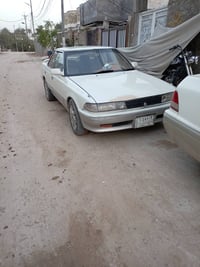 مارك عظم • ١٩٩٢ • نجف كوفه