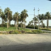 عندي 70 دونم طابو محتاج راس المال وريد اسوي مشروع استثماري ربحه خير من...
