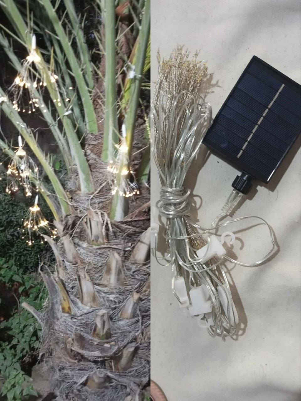 نشره طاقه شمسية


**إذا كنت صاحب هذا الإعلان وتريد حذفه لأي سبب، رجاءا أرسل رسالة إلى الدعم الفني**