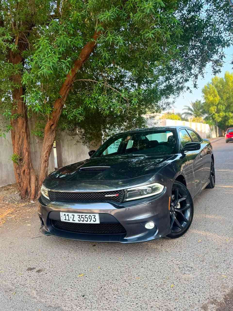 جارجر جي تي  GT
الموديل :2023 . النداء الاخير. 

العداد :  43kmسياره بعده بحالت شركه 

المحرك : V6. 3.6L 

ضرر دعاميه اماميه صور حادثه موجوده بل نشر  رقم بغداد تحويل ثاني يوم السياره بدون ايرباك🛑

المواصفات : رادار جانبي.......

 رادار امامي 🛑* جناح خلفي .

*   ويل قياس 20 انج اسود .

*   مقود القيادة رياضي .

*   مقاعد رياضية من الشاموا الأسود.

*   نقطة عمياء .

رادار جانبي. رادار امامي 

*   مصابيح أمامية زنون .

*   كشافات الضباب زنون .

*   المصابيح الأمامية مع LED .

*   حساسات خلفية.

*   شاشه كبيرة مع نظام ملاحة نفكيشن GPS .

*   سستم صوت الپاين 

*   المقاعد الأمامية كهربائية .

*   ذاكرة لحفظ وضعيات الجلوس (ميموري) .

*   مقاعد أمامية تبريد وتدفئة .

*   مقاعد خلفية تدفئة.

*   تشغيل عن بعد .

*   المقود كهربائي .

*   تدفئة مقود القيادة .

*   محدد سرعة .

*   تلفون بلوتوث .

*   كاميرا خلفية .

*   مرايا متحسسة للاضاءة العالية .

*   كير شفتر بالستيرن .

*   دخول ذكي (بصمة) .

السعر :: 260 وبيها مجال 

بغداد زيونه ***********☎️
