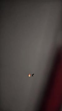 ماكس بوليس • نضيفة • رزنه