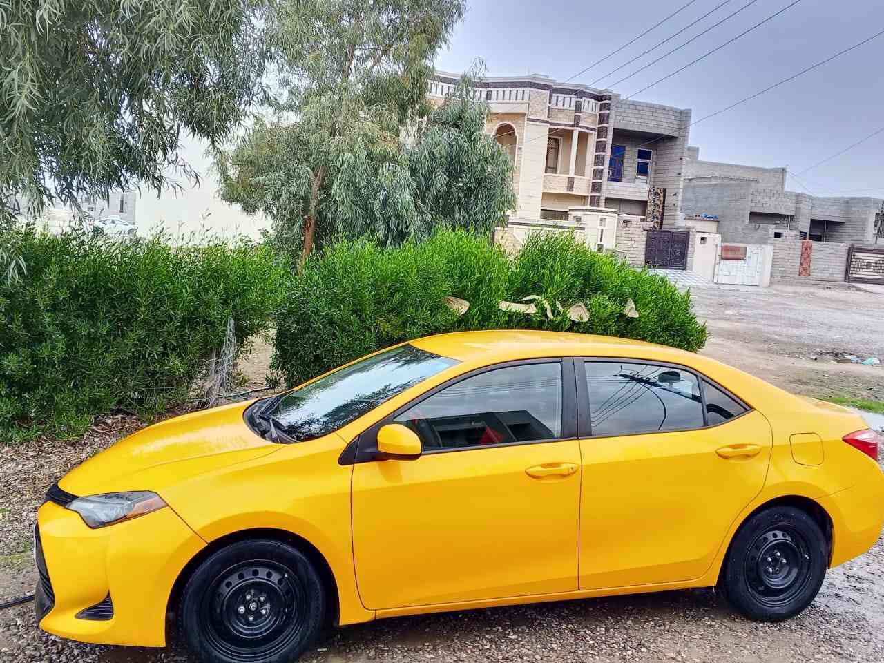 للبيع كورله 2019 سياره كلين عل وضع شركه رادار حجر كله بلادي مكاني تكريت سياره بسمي رقم دولي مصفره هيه مرور سنويه لل29 هزه كبل شهرين سعر 157 وبيه مجال رقم الهاتف ***********
