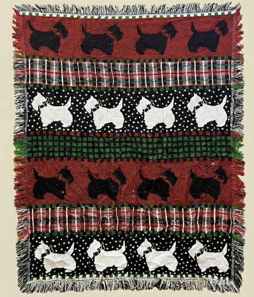 سجادات لوحات بسعر 5فقط


**إذا كنت صاحب هذا الإعلان وتريد حذفه لأي سبب، رجاءا أرسل رسالة إلى الدعم الفني**