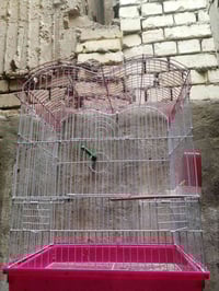 قفصين • جديد • نجف مكتب رشيد