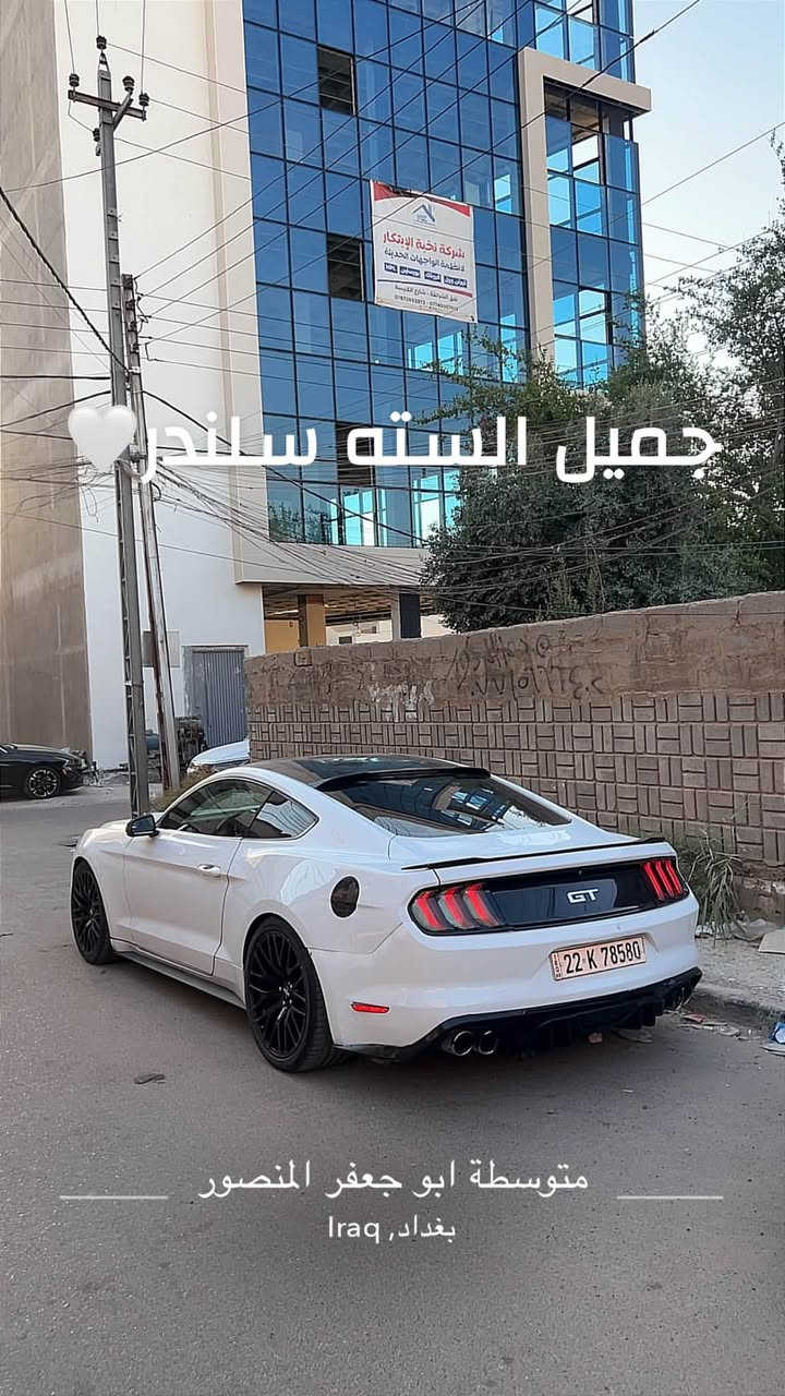شونكم حبايب
بيع فقط بدون اي مراوس لان سعره حلو وبلعافيه عل مشتري

موستانك سته سلندر 2017 

حادث چاملغ وبنيد وباب مصبوغ

بدون اي دواخل لغد شاصي كفاله 

صور الحادث بلمنشور

ماشيه 98 

گير مكينه اكسل تبريد مكفولات

تخم وياله تراك بكج 

بگ لايت سموك 

دفيوزر دبل گزوز وهواي شغلات بيه 

جاهزه للاخير 

بيع شكم ملاحضه بسيطه فقط ملاحضاته ميكلفن ٣٠٠ دولار

رقم اربيل تحويل او وكاله اليعجبك

سعره 125 ورقه وبيه مجال 

مكاني بغداد المنصور 

ممتواجد خاص 

***********واتساب
