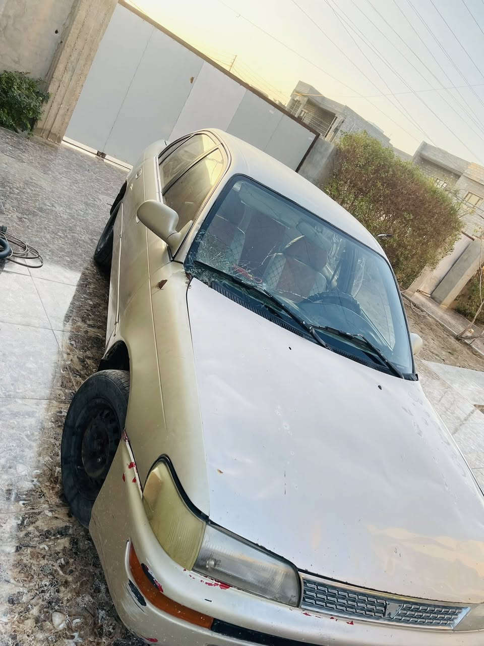 كورلا قديم ٩٢
محور 

كير اوتماتيك

سنوية لل ٢٧

محرك جديد 

كير بحالة جيدة 

تبريد شغال 

صدر أمامي جديد

صدر خلفي فقط طبلة نقص 

مصبوغة حزام 

السعر 4,400 $
***********
