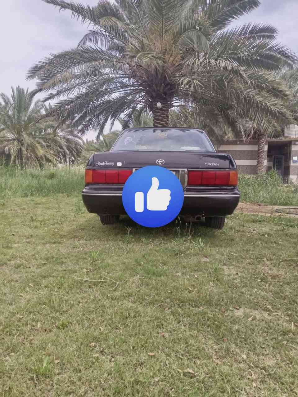 سلام عليكم
ارنب طويل مديل 94 ثلث قطع
رقم بصره نكليزي مشروع وطني 
سياره مكفوله من صبغ لعام ول كص ول عيب شرعي 
مكينه كير توني شادهن كفاله 
كهربيات كله جاهزه 
تخم تاير جديد 
حداديه امامي خلفي توني مشتغلهن 
منضومه تبريد كامله مال راس ثور بس كمبريسر بيه ضعف 
مكان سوق شيوخ 
سعر 65 
***********
