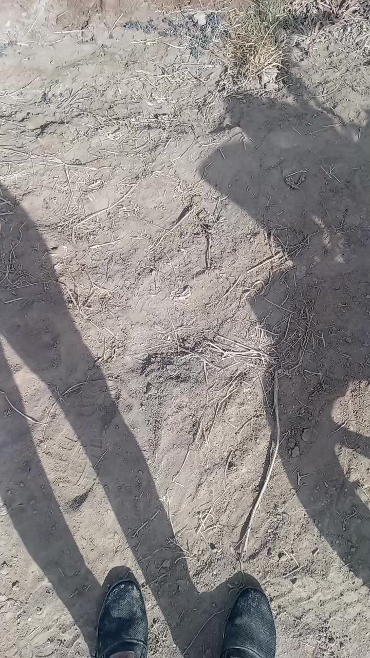 ستوته للبيع كلك نضيفه مال جنايه مكان الدوانية ناحية السنيه اتصل وبيك خير ***********
