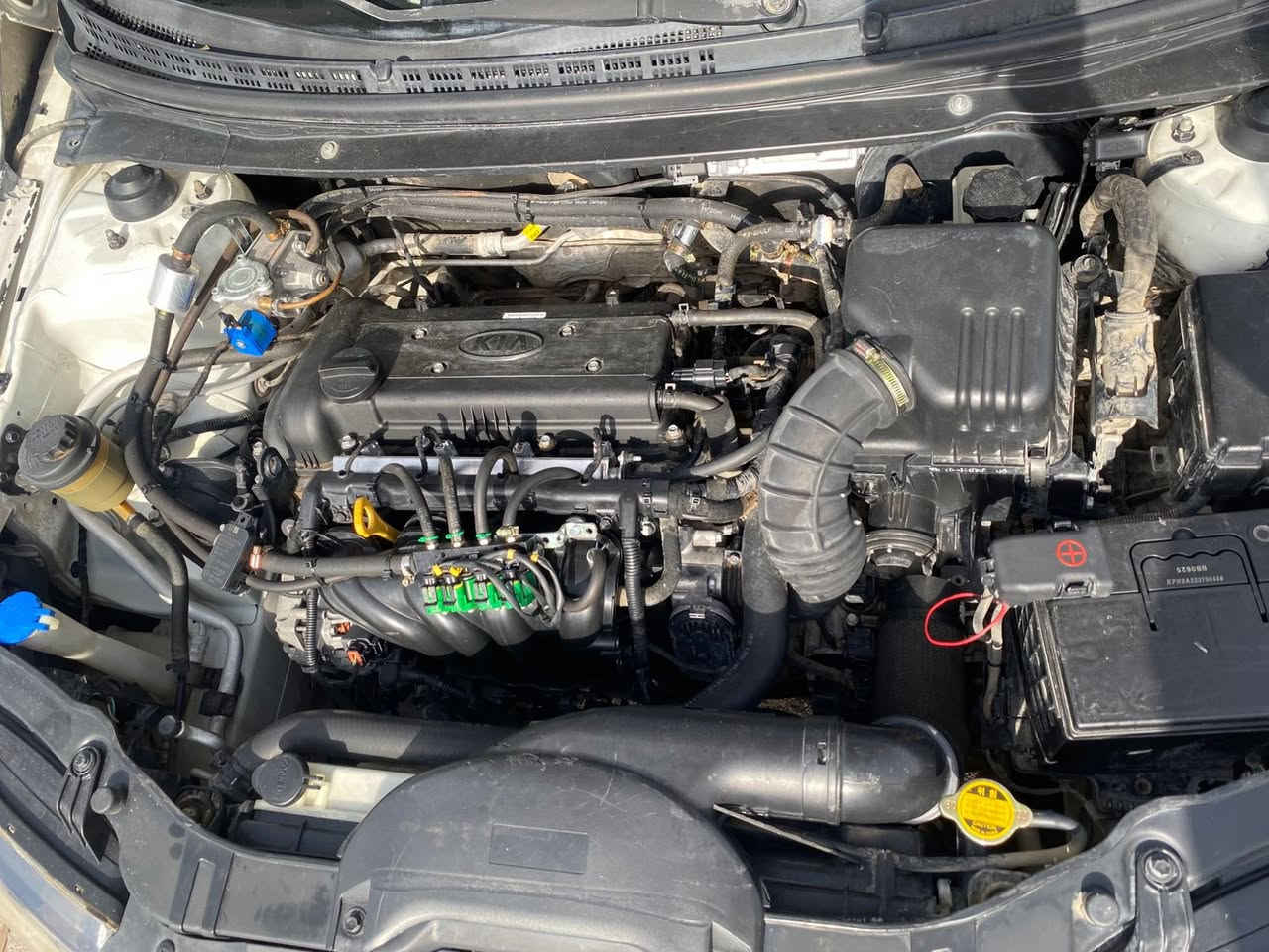 سلام عليكم سيراتو ١١ للبيع!  
سياره مرتجيه صفح صبغ عام بدون داوخل 
گير و محرك بشرط 
بيها بطاقه بانزين و منضومه غاز 
السياره بسمي شرط تحويل سنويه ل٢٩ 
السعر ٧٠ بيها مجال حك الجيه 
***********هاتف 
*********** واتساب فقط
