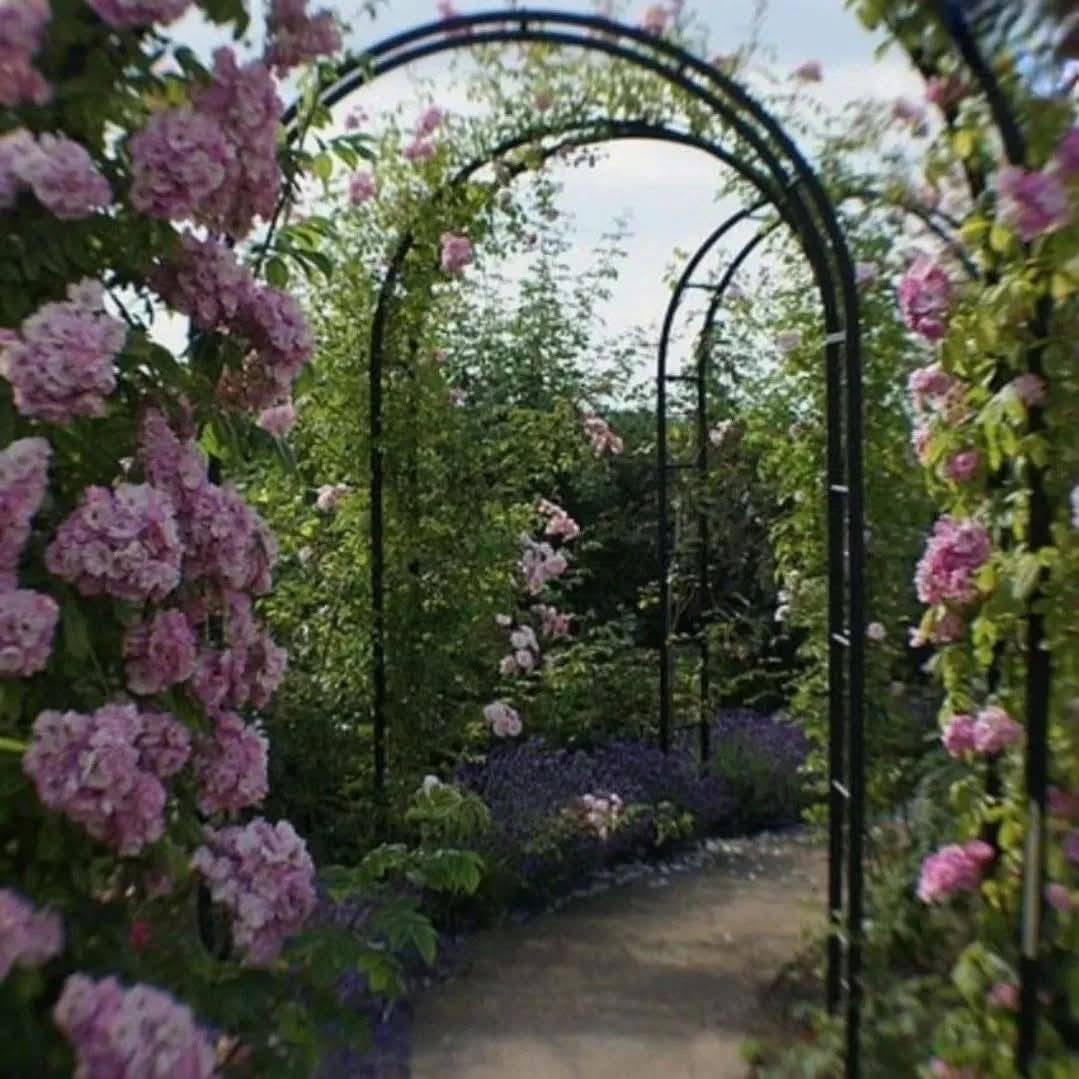 ئاسن فرۆشی سەرباز بۆفرۆشتنی قەوسی گوڵ
 بۆ ناو باغ و باخچەکانتان جملەو مفرد بەردەستە
گەیاندنمان هەیە بەپی توانا
ناونیشان چوارقوڕنە پشت بەنزینخانەی سلام
***********_***********
