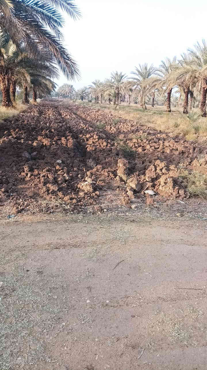 سلام عليكم ارض طابو زراعي سند 25 إقرار محكمه للبيع المساحه 3 دونم وربع مع دارين  العنوان الحله ابوغرق خلف المجمع السكني تبعد عن شارع كربلاء حله 2كيلو  خدمات كامله مي سقي واسأله وكرهباء  السعر 275 مليون مع مجال الاستفسار ***********
