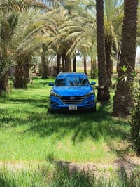 توسان 2016 محرك 2000 حادثها فقط الباب الأيمن الخلفي بعدها على ضربتها  ...
