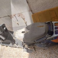 سبيسي • شغاله • ابو رمانه