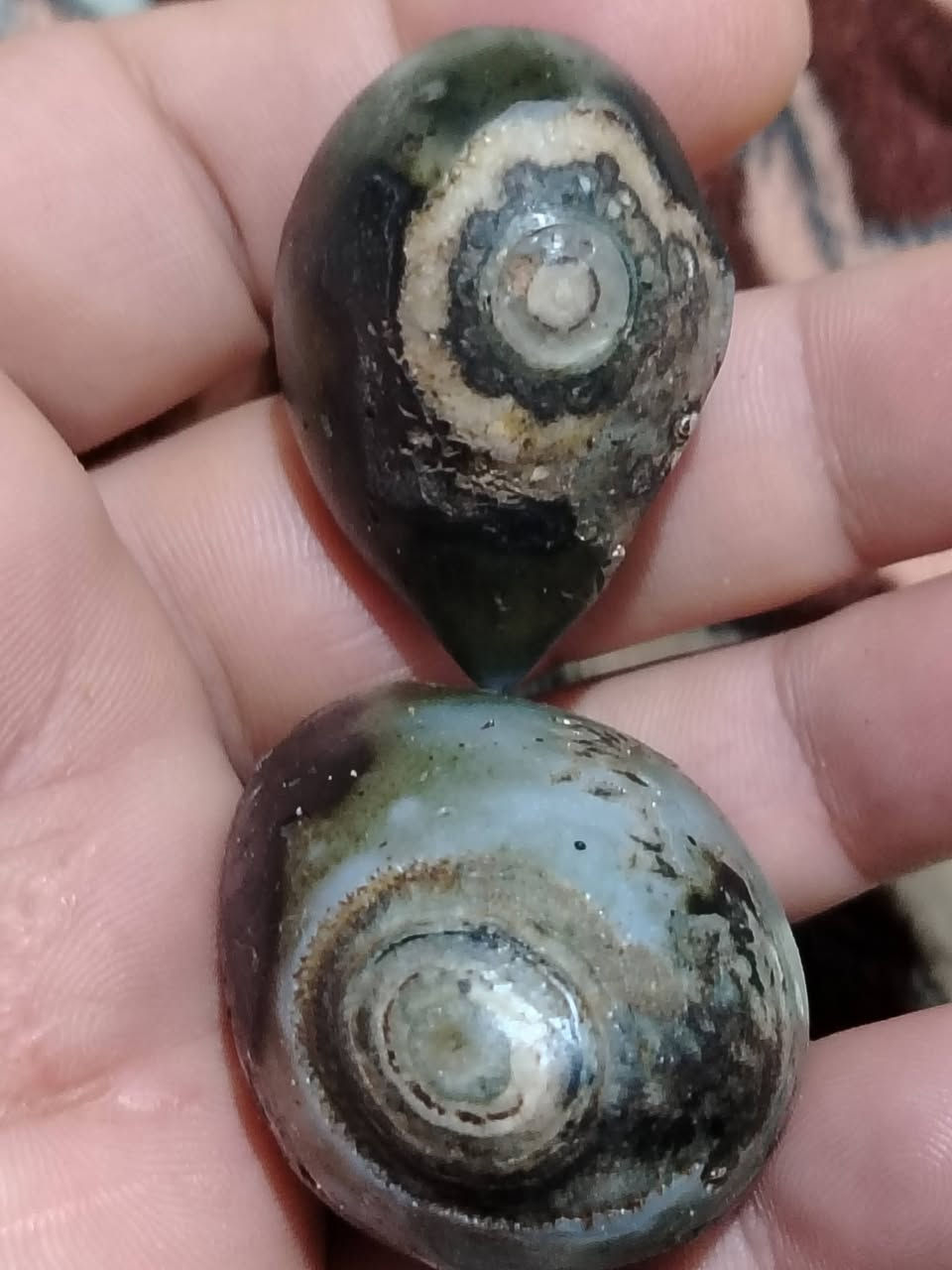 مجموعة من الخام اليماني المصور 
كل قطعة وسعرها 
يوجد توصيل لجميع المحافظات العراق 🇮🇶


**إذا كنت صاحب هذا الإعلان وتريد حذفه لأي سبب، رجاءا أرسل رسالة إلى الدعم الفني**