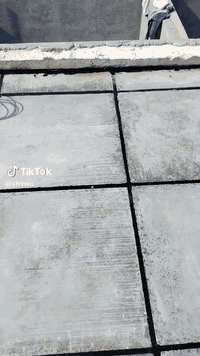 شغل ابو امير تطبيك وتصعيد شتايكر السماوه شغل درجه اولى انتصل وتدلل ***********
