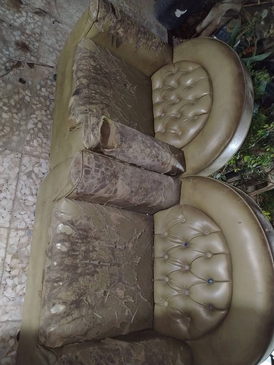 سلام وعليكم
تخم قنفات ٦ مقعد يراد فقط دوشمه بسعر ١٠٠الف
***********
متضرر
