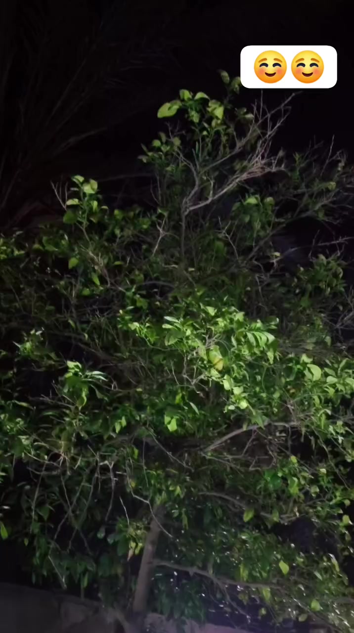 السلام عليكم سايبا للبيع موديل 11 سياره كفاله مكينه كير شواصي حداديه سياره جاهزه مانقصه شيي تنكر سويج وتطلع وين. مايعجبك ترايك 160 مصفره ولا ربع عليه سعر 22 وبيه مجال  مكان ديوانيه قضاء الشاميه. عمي المو شراي لا يخابر ويشلع كلبي هواي خابروني امسح المنشور ويجذب  ***********
