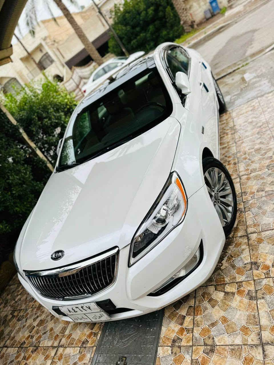 سلام عليكم 
كيا كادنزا موديل 2011 ابيض لؤلؤي
خليجي مكينه دوش حجم 3.500  مكفوله 
فول مواصفات  
تبريد منضومه جديده ثلج تدفئه شغاله 
برده كهرباء بصمه ابواب وتشغيل كشنات جلد + كهرباء  بانوراما طكتين شاشه تاب كامره سستم صوت 
ملاحضاتها 
الكير بي طكه بالنمره الاولى فقط لو دجه لو بالكير 
مابيها تأثير تمشي 
مرات مابيها اي شي طبيعي 
الصدر 80‎%‎ 
كل مواصفاتها  تشتغل 
رقم سليمانيه تحويل مباشر  
شواصي لغود تكم حوض كفاله 
فقط ضررجاملغ خلفي وره سايق معمر 
بيها رشات صبغ ماعرف ياهيه ابيع حزام مكانها العامريه بيع نقد فقط السعر 88 
*********** بغداد, العراق
