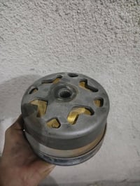 صالنصه • كابريتر • ثعلب