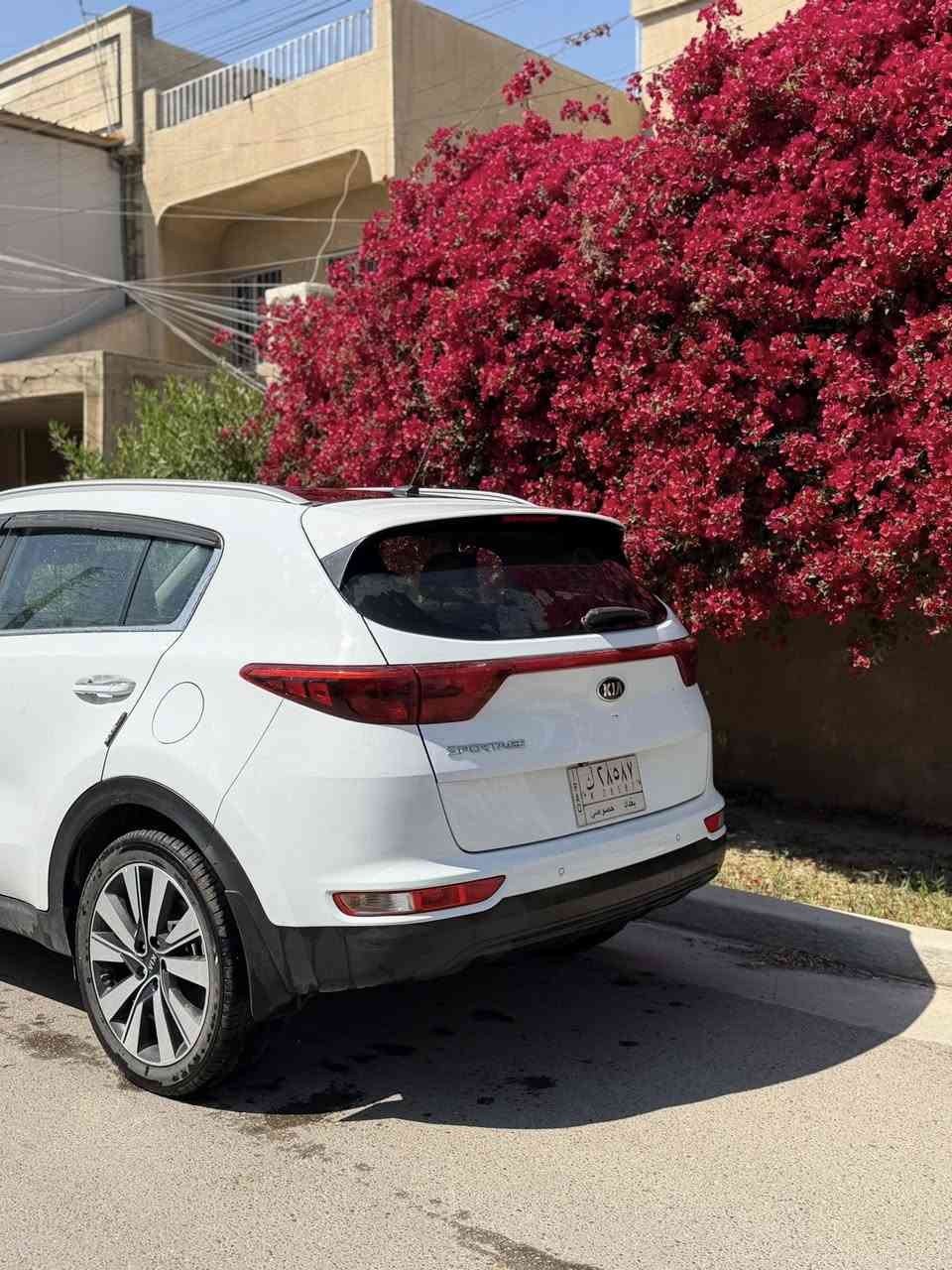 السلام عليكم للبيع سبورتج موديل 2017 خليجي مواصفات: بانوراما .حساسات خلفية :هاند بريك قدم :3 وضعيات قيادة: مري شفط :كاميرا خلفية : ويل كروم : بيها ملاحضات بسيطه شخط بين بابين ورصعه بجاملغ مكانه بغداد حي الخضراء  السعر:178 وبيها مجال / ***********
