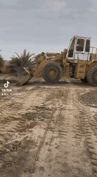 شفل • موديل ٩٢ • نيسان ١١٠