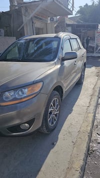 سنتافيا • ٢٠١١ • وارد امريكي