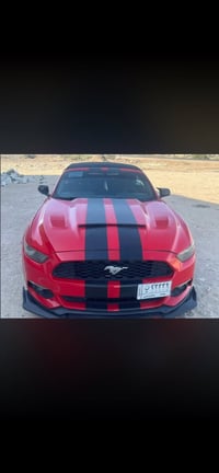 موستنك ٢٠١٥ كشف ٦سلندر مكينه وكير جديده بلجيس سياره نضيفه وحلو نصبته ح...