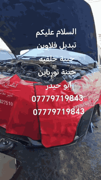 تبديل فلاوين فورد • جبنة خلفية • غزالية